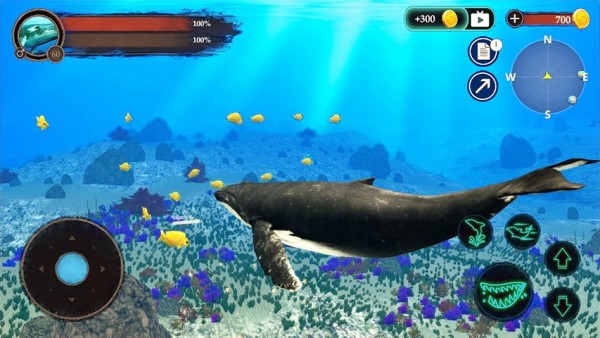 鲸鱼潜水模拟器