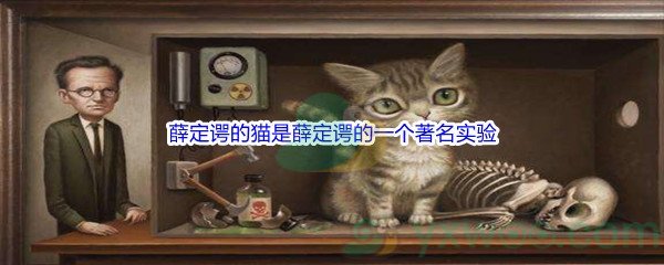 哔哩哔哩薛定谔的猫是薛定谔的一个著名实验,其不涉及的问题是什么呢 哔哩哔哩b站硬核会员答案分享