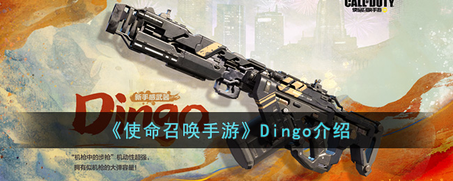 使命召唤手游Dingo介绍-使命召唤手游Dingo怎么样