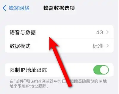 iphone14设置5g网络方法