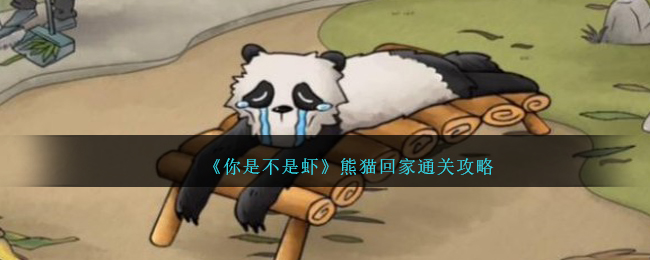 你是不是虾熊猫回家通关攻略-你是不是虾熊猫回家怎么过